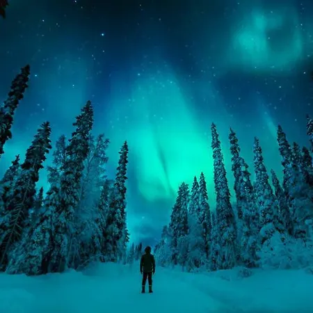 With Sauna Apartamento Levi